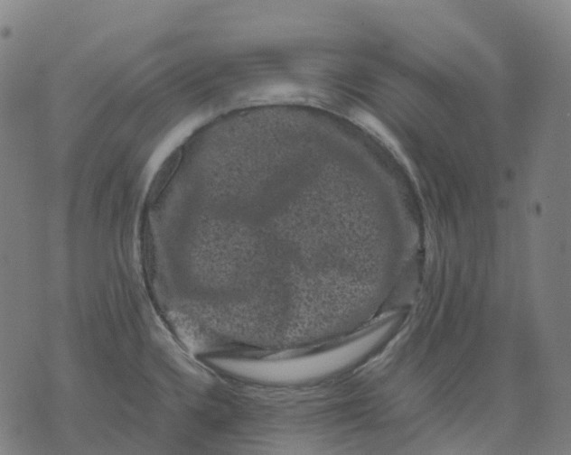 X0000071781336200607211547