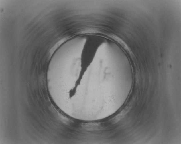 X0000071781337200607211547