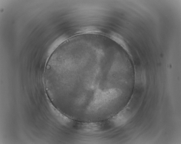 X0000071781338200607211547