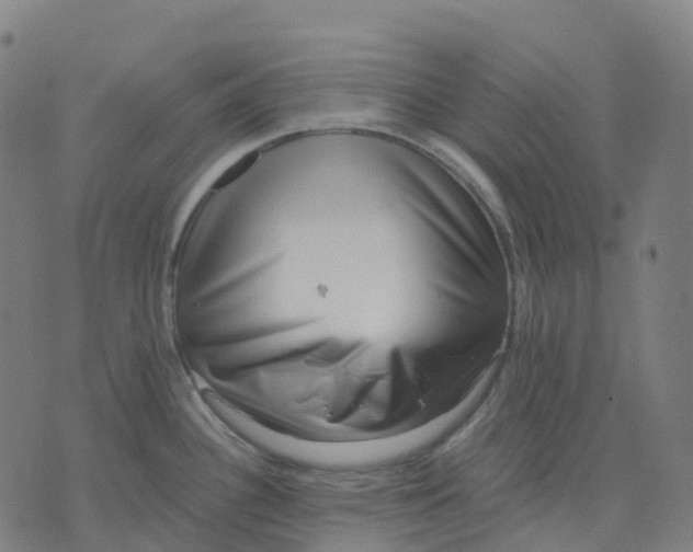 X0000071781340200607211547