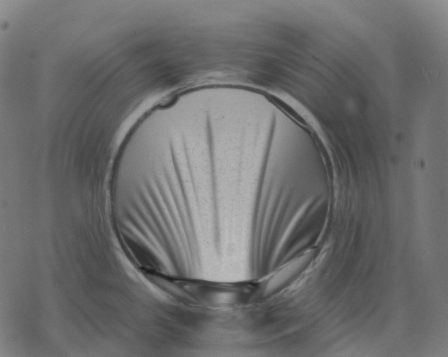 X0000071781341200607211547