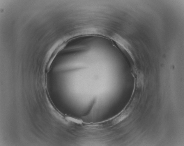 X0000071781342200607211547