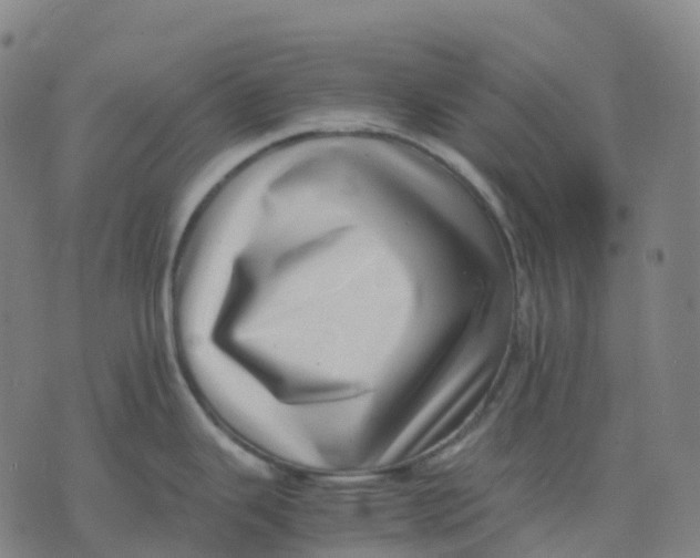 X0000071781343200607211547