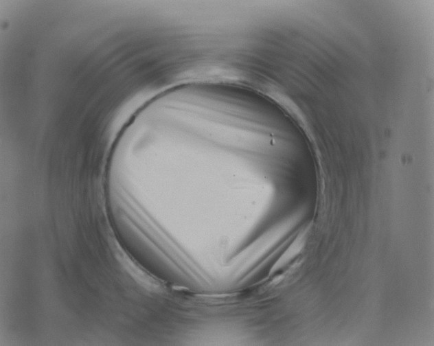 X0000071781344200607211547