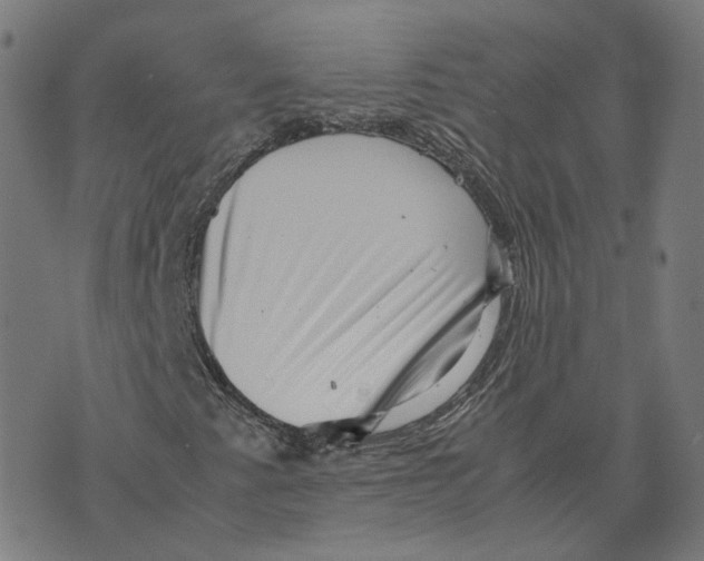 X0000071781345200607211547