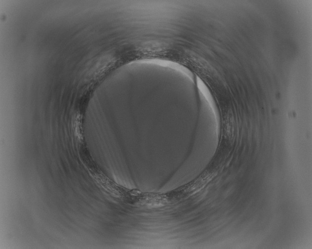 X0000071781346200607211547