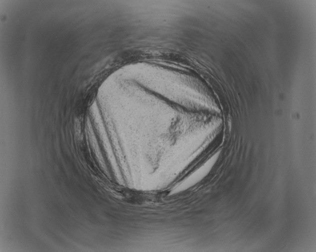 X0000071781347200607211547