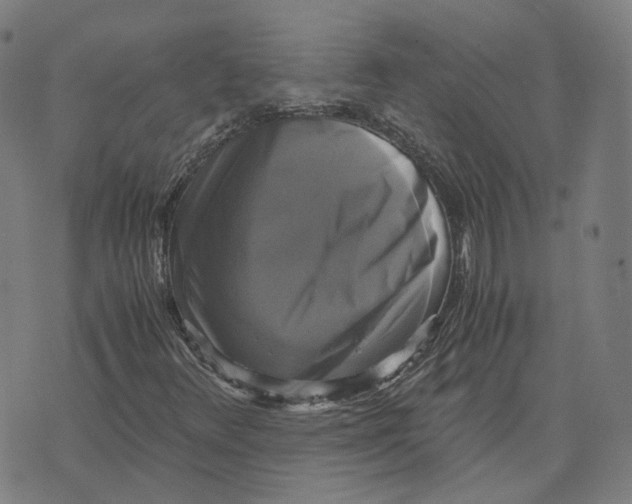 X0000071781348200607211546