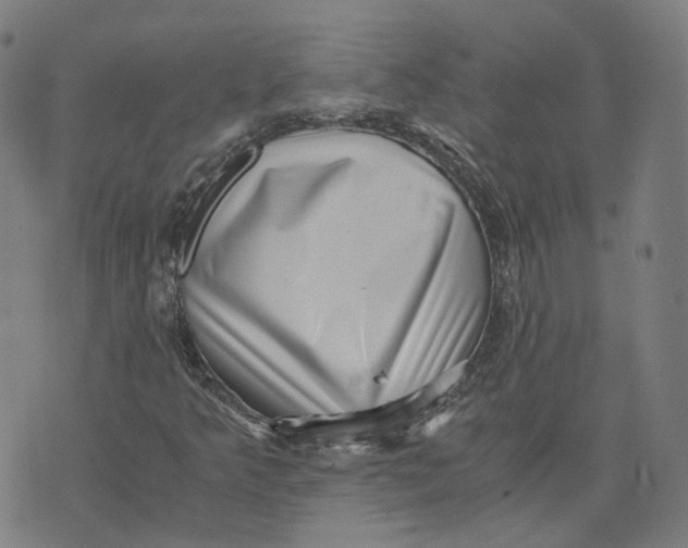 X0000071781349200607211546