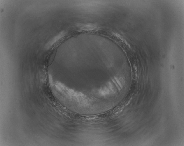 X0000071781350200607211546