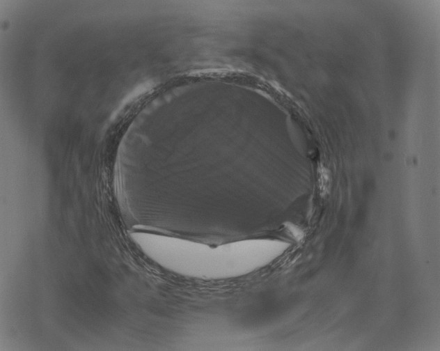 X0000071781351200607211546