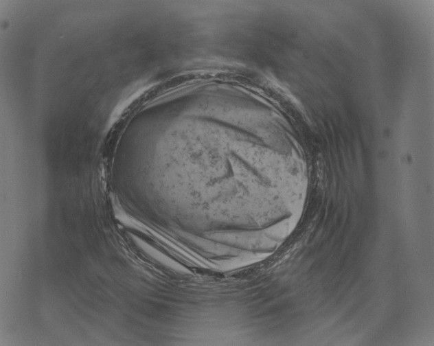 X0000071781352200607211546