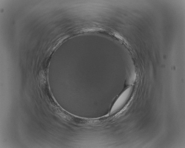 X0000071781353200607211546