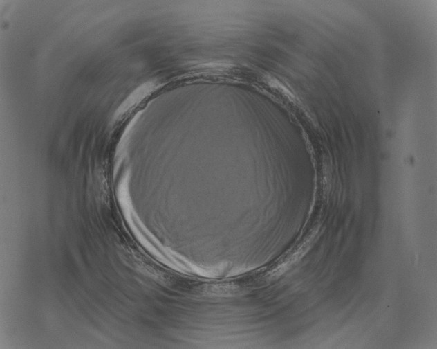 X0000071781354200607211546