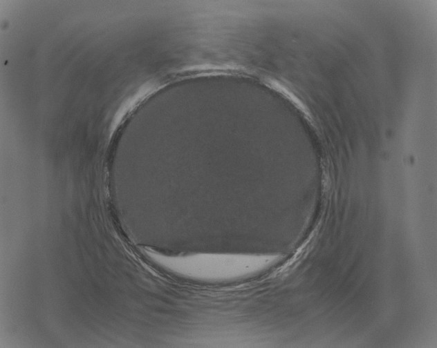 X0000071781357200607211546