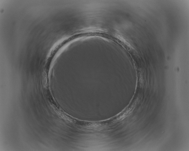 X0000071781358200607211546