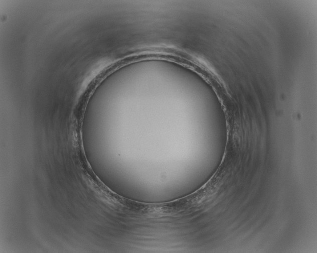 X0000071781360200607211546