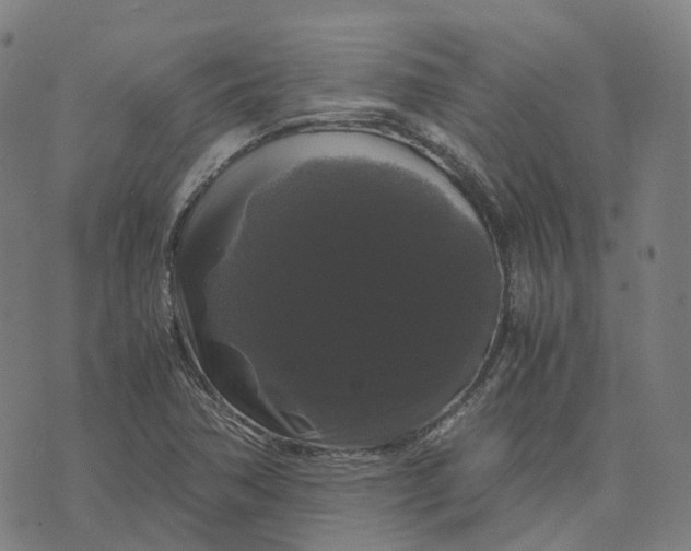 X0000071781362200607211546