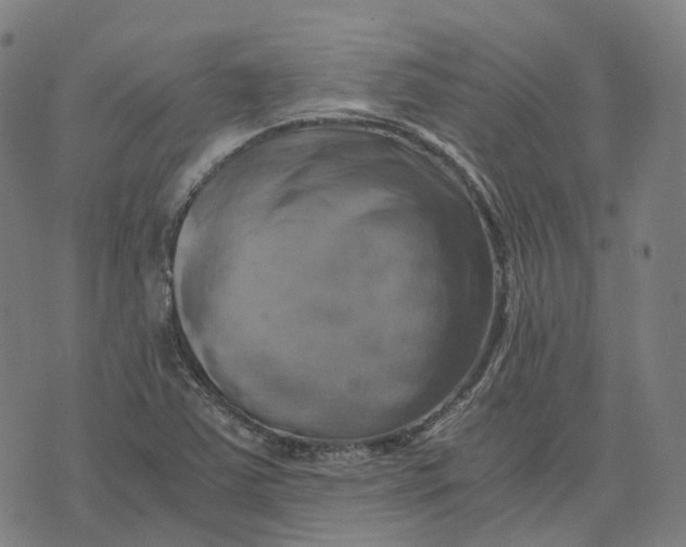 X0000071781363200607211546