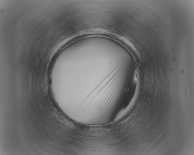 X0000071781364200607211546