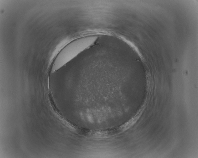 X0000071781365200607211546