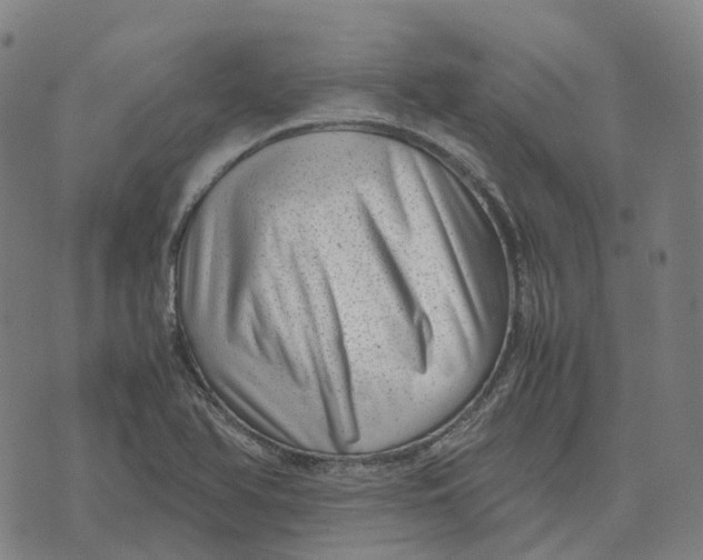 X0000071781366200607211546