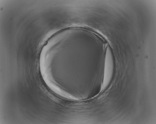 X0000071781367200607211546