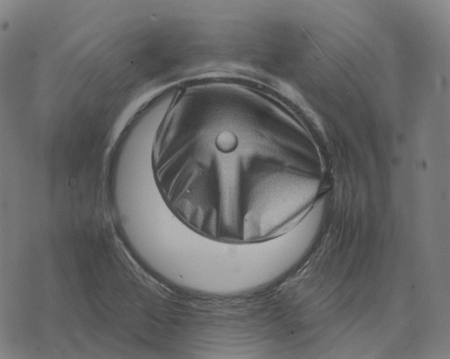 X0000071781368200607211546