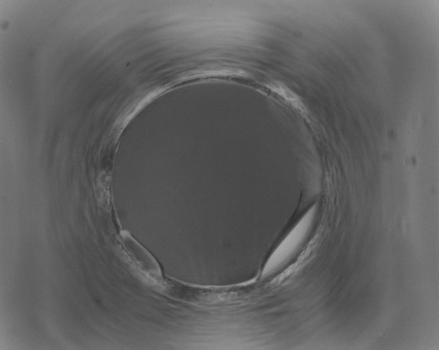 X0000071781369200607211546