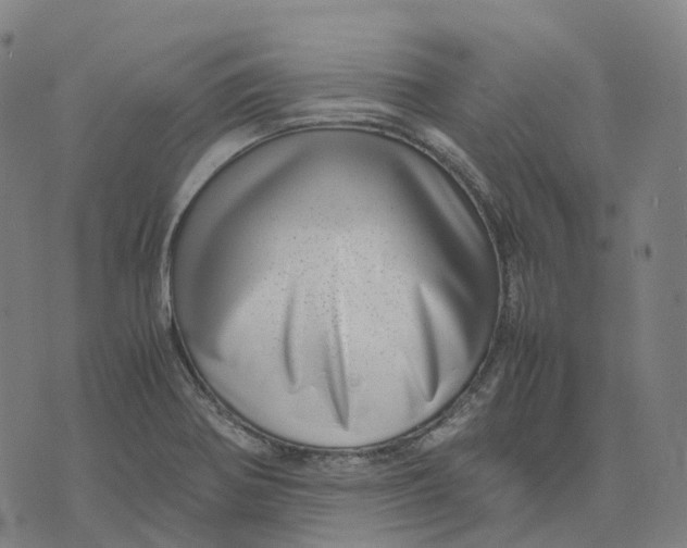 X0000071781370200607211546