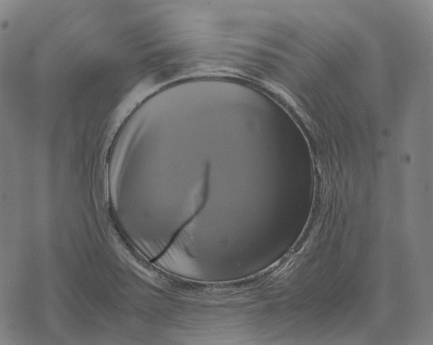 X0000071781371200607211546