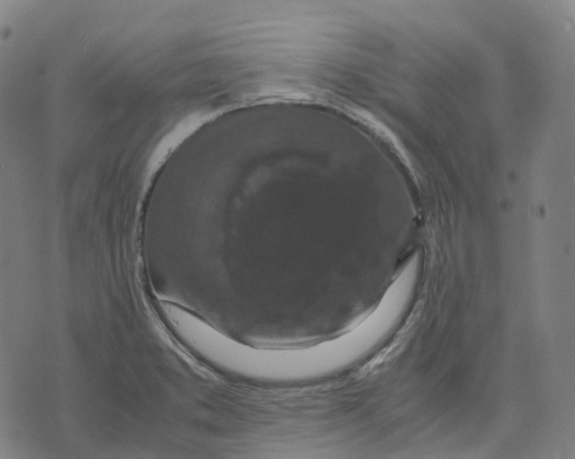 X0000071781373200607211546