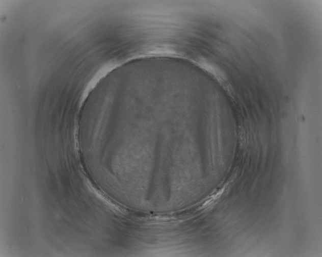 X0000071781374200607211546