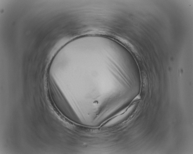 X0000071781375200607211546