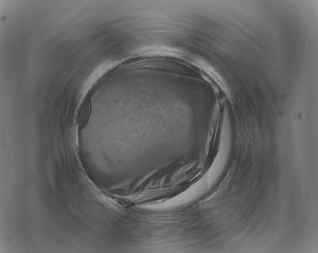 X0000071781376200607211546