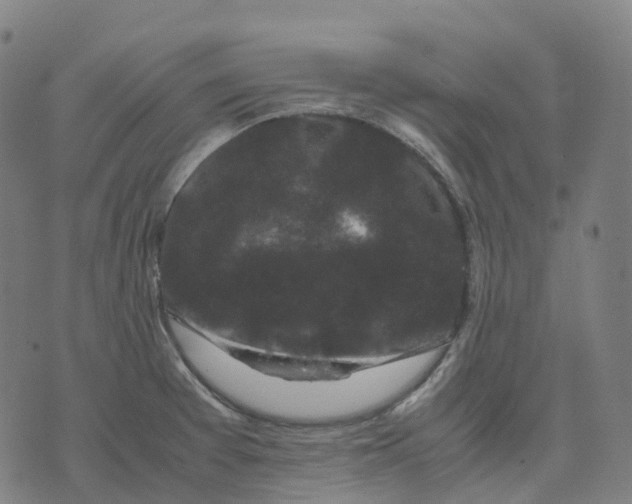 X0000071781377200607211546