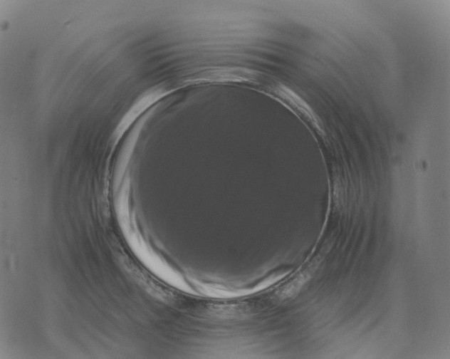 X0000071781378200607211546