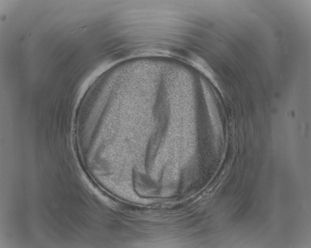 X0000071781379200607211546