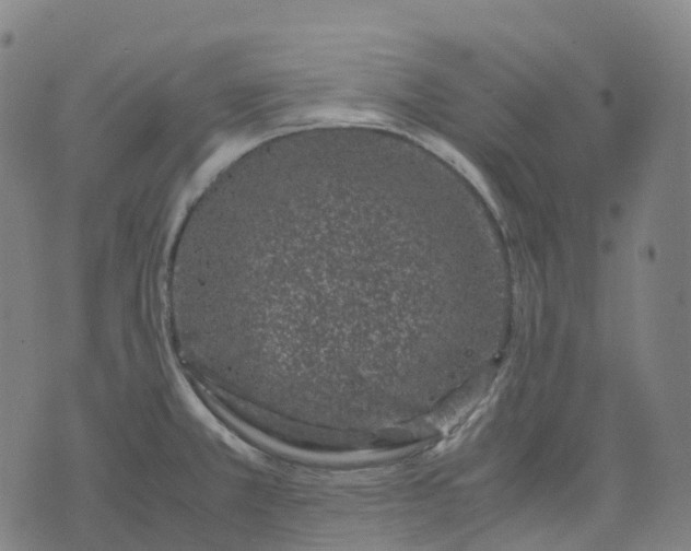 X0000071781381200607211546