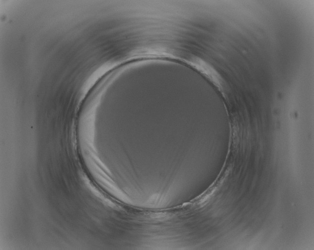 X0000071781382200607211546