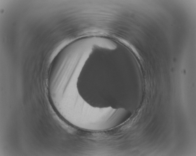 X0000071781383200607211546