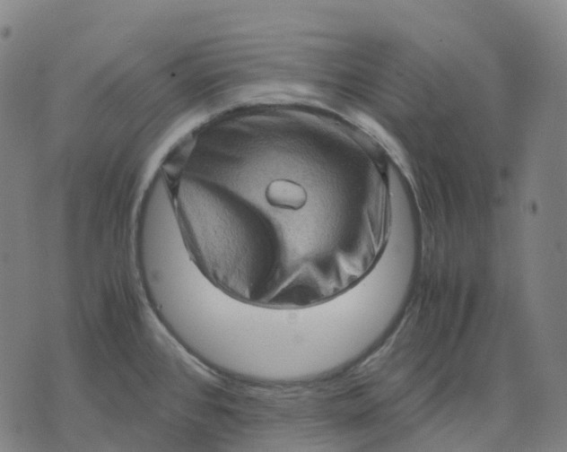 X0000071781384200607211546