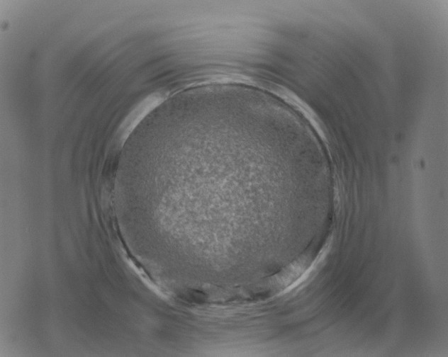 X0000071781385200607211546