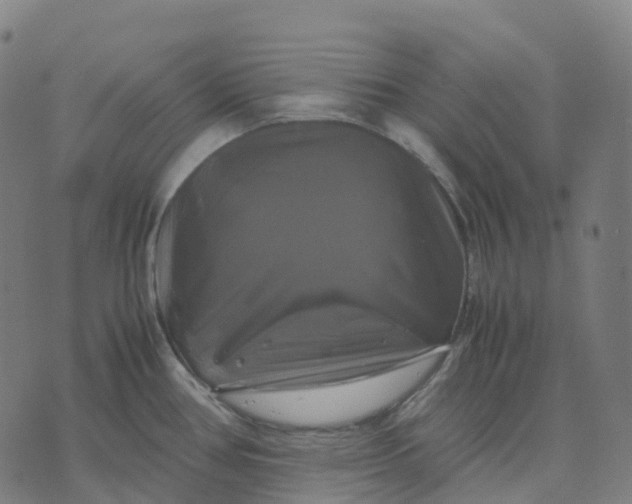 X0000071781386200607211546