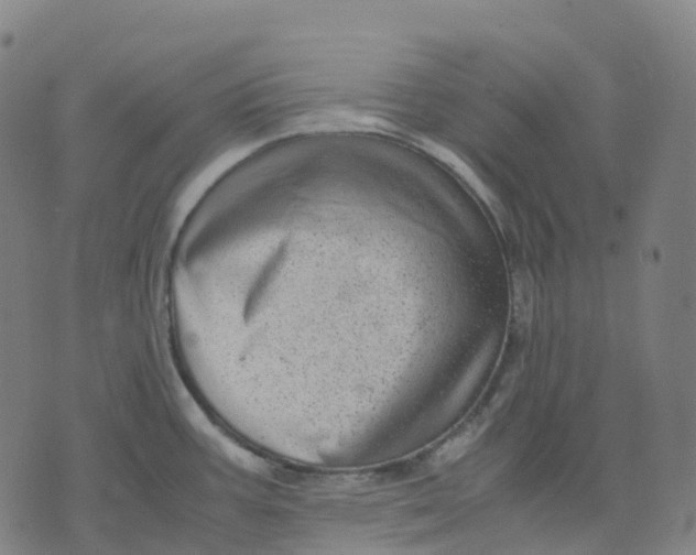 X0000071781387200607211546