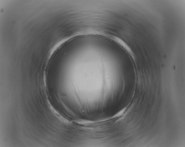 X0000071781388200607211546