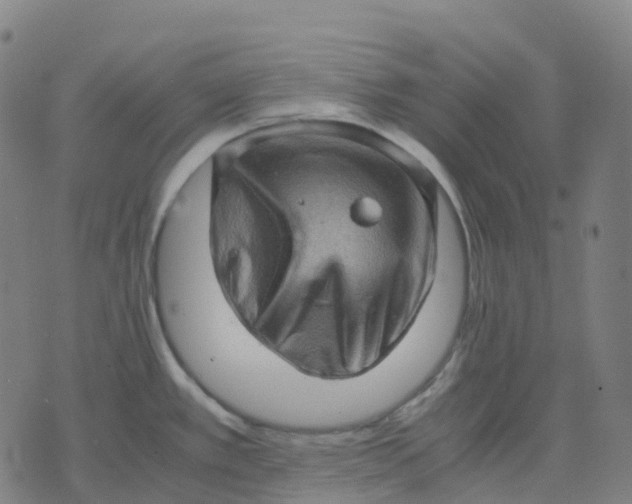 X0000071781389200607211546