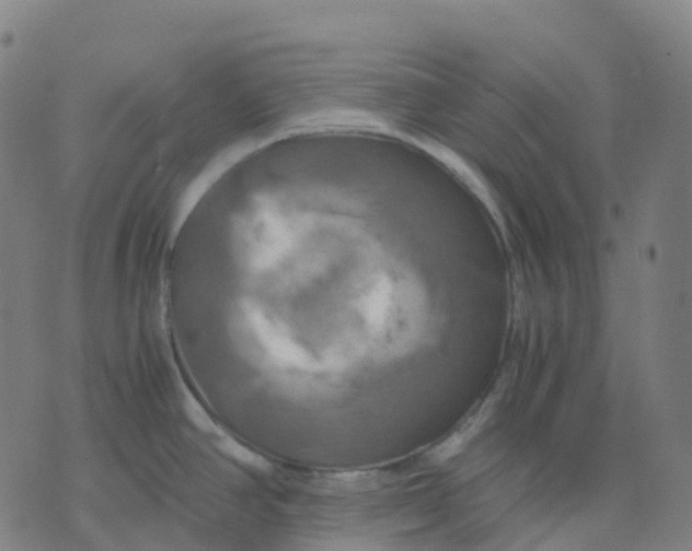 X0000071781390200607211546