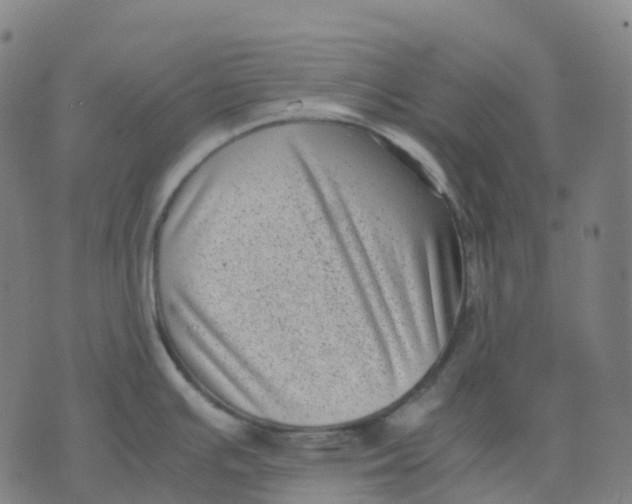 X0000071781391200607211546