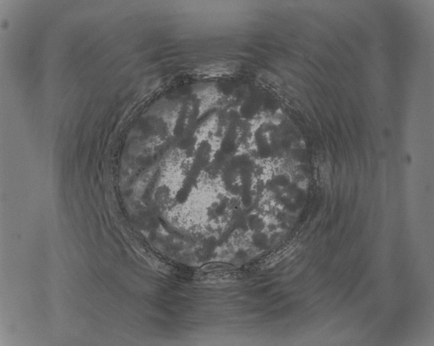 X0000071781393200607211545